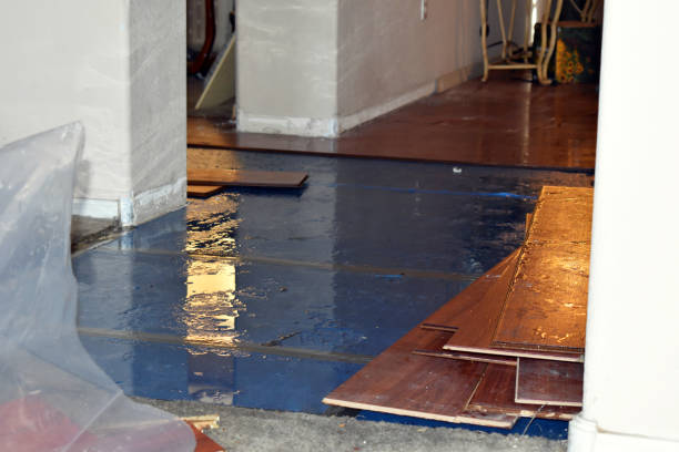 Professional Water Damage Restoration technician working in Custar, OH